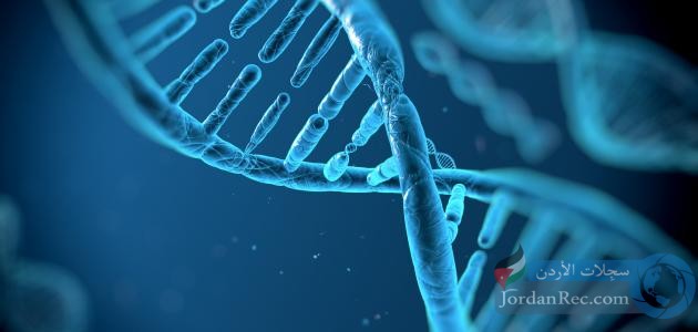 الحمض النووي "DNA"