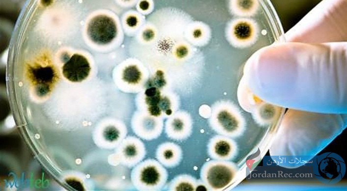 تعرف على فوائد للبكتيريا لم تكن تعرفها من قبل