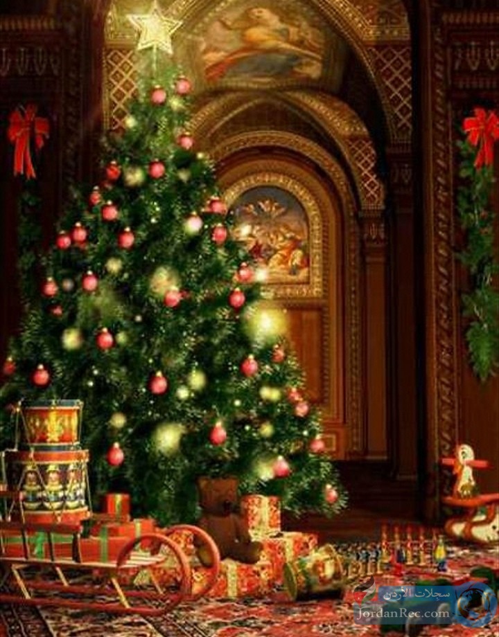 شجرة الميلاد
