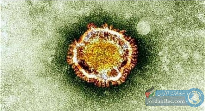 عاجل | اكتشاف فيروس جديد يهدد العالم قادم من الصين