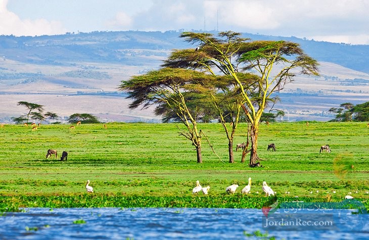 مناطق الجذب السياحي الأعلى تقييمًا في كينيا