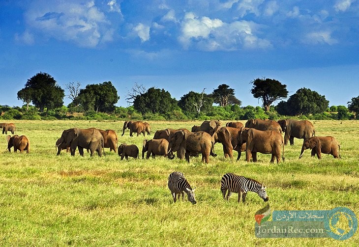 مناطق الجذب السياحي الأعلى تقييمًا في كينيا