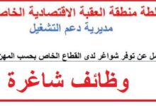 وظائف القطاع الخاص في العقبة الاقتصادية الخاصة 2026
