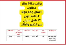 عامل جمع مواد إعادة التدوير 2026 | نظام العمل مقابل النقد